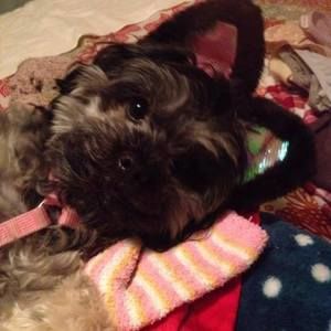 Meet your Posher, Andrea